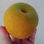 「わけあり」幸水梨はおすすめ