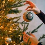 <2021年12月号>レポート「米国における現地情報」（12月15日現在）